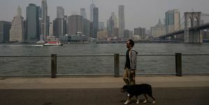 човек шета свог пса током лошег квалитета ваздуха