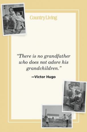„Нема деде који не обожава своје унуке“ - виктор хуго