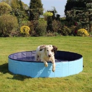 Цоол Довн склопиви базен за псе