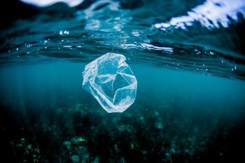 пластична кеса која плута изнад гребена у океану, Костарика