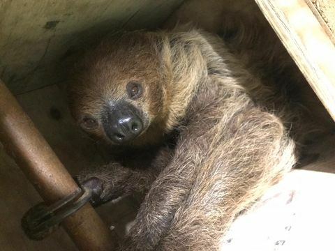 У Валесу се отвара дом за умировљенике због леноба