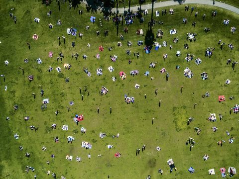 Прелепи поглед људи у градском парку током летњег дана, седећи, стојећи, на простиркама за пикник.