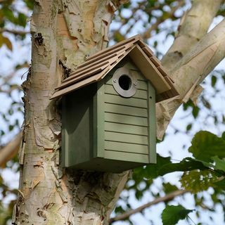 Кутија за гнездо Нове Енглеске - зелена