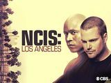 НЦИС: Лос Анђелес 10. сезона