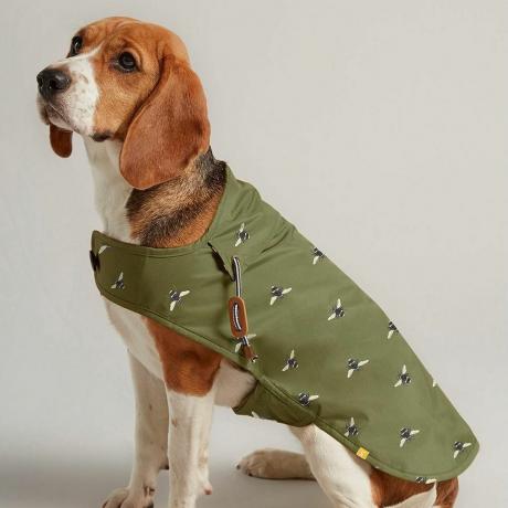 Маслинасто зелена воштана капут за псе