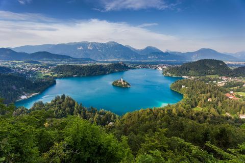плаво језеро окружено шумом у словенији