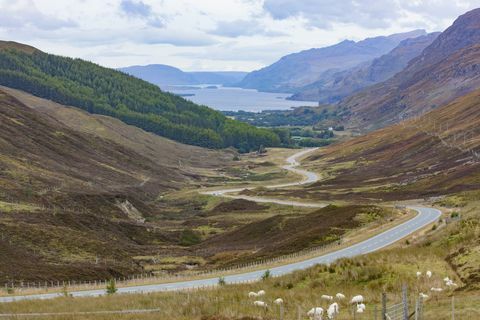 Велика Британија, Шкотска, Национални парк Цаирнгормс, планине Цаирнгорм, хоризонтални панорамски поглед на равницу веровања у јесен у планинским пределима