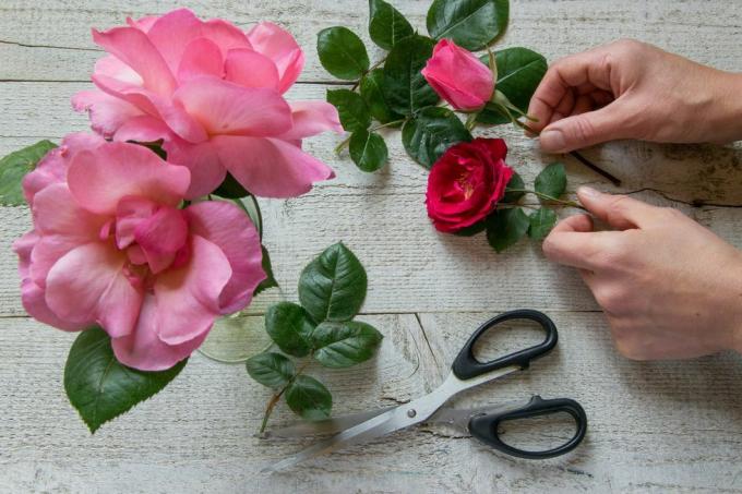 изрезана слика цвећара који држи ружу са цвећем на столу