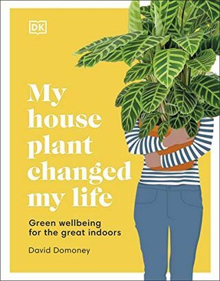 Моја кућна биљка је променила мој живот: Зелено благостање за сјајне затворене просторе