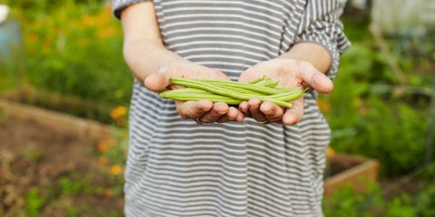 Жена у пругастом врху представља шаху пасуља у руци