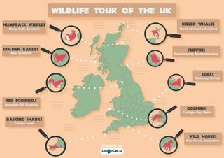мапа дивљих животиња у Великој Британији