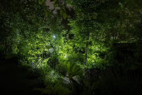 Цхелсеа Фловер Схов - Кате Миддлетон увече се враћа у врт природе, Пхилипс осветљење